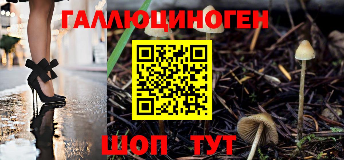 Псилоцибиновые грибы ЛСД Нарткала